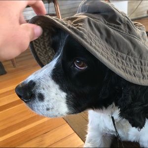 Meet your Posher, Evan